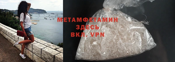 шишки Инта