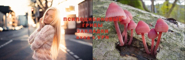 хмурый Инсар