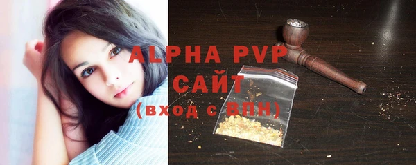 хмурый Инсар