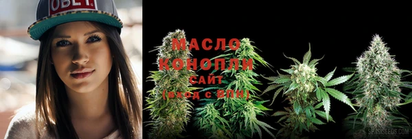 хмурый Инсар