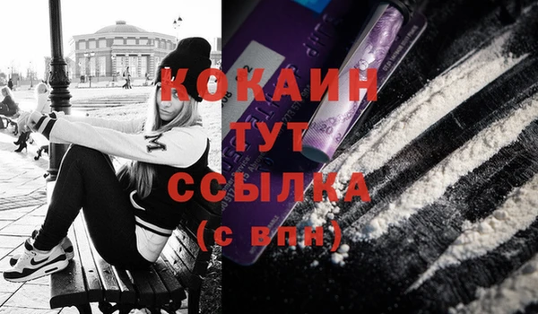 шишки Инта