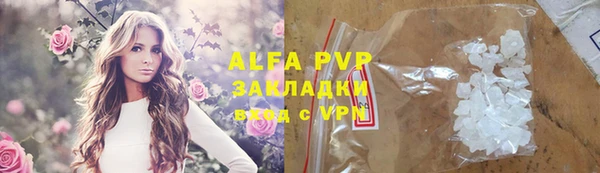 шишки Инта