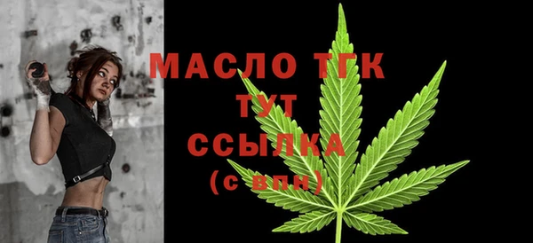 шишки Инта