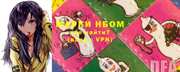 шишки Инта