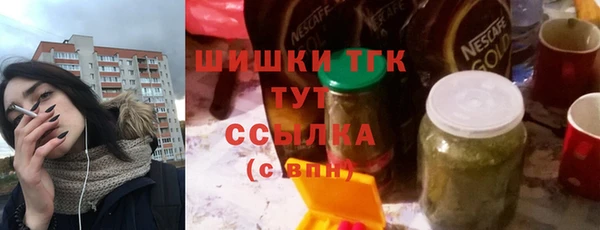 шишки Инта