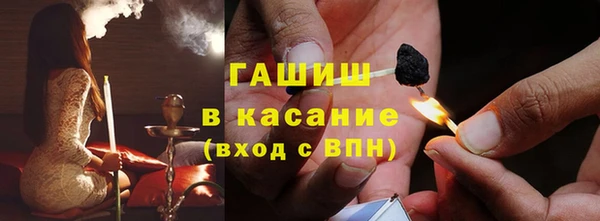 хмурый Инсар