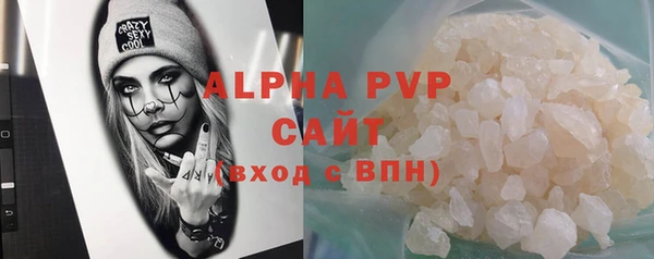 шишки Инта