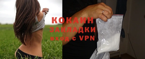 шишки Инта