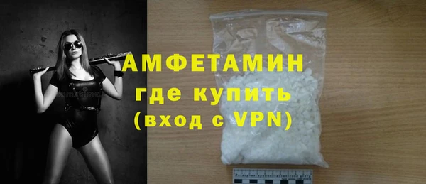 шишки Инта