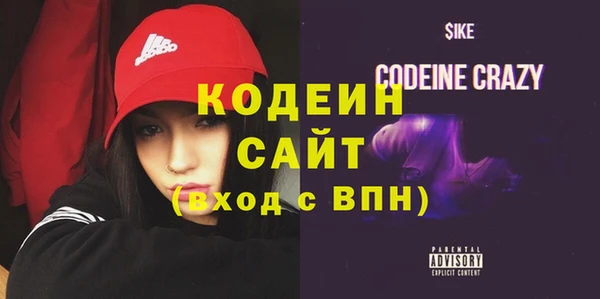 хмурый Инсар