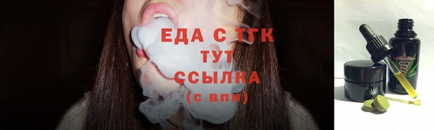 шишки Инта