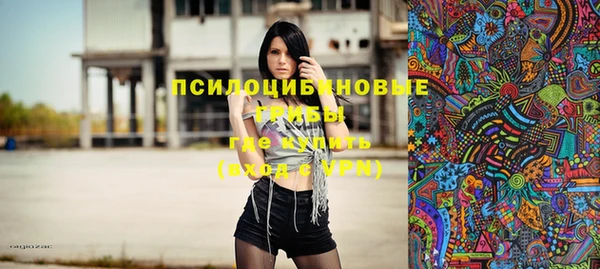 хмурый Инсар