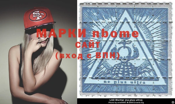 шишки Инта