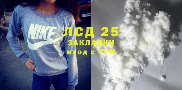 шишки Инта
