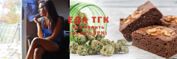 шишки Инта