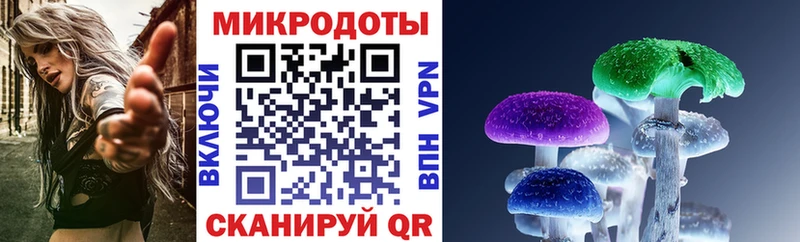 Галлюциногенные грибы Psilocybe Хилок